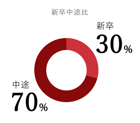 新卒中途比